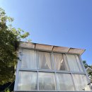 세르니띠 이미지