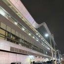 푸른바다 | 노량진 수산시장 회 맛집, 도다리 실속모듬회 푸른바다 후기