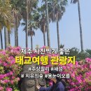 노고록 | 제주도 태교여행 임산부 무리없이 사진찍기 좋은 관광지 코스(대포주상절리, 새섬, 치유의 숲, 용눈이오름)