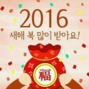 인진쑥농장 이미지