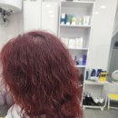 리리클헤어 이미지