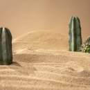 자연보검 이미지