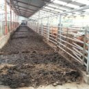 노을한우농장 이미지