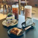 세븐일레븐 천안봉명행복점 | 천안 봉명동 카페 ‘도헤 카페’ 후기 / 천안 분위기 좋은 봉명역카페!