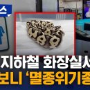 한강유역환경청 화장실 이미지