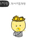 엘에프투어 이미지