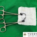 미담상담센터 이미지