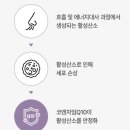 웰빙앤라이프 | 마미앤대디 비건 코엔자임Q10 코큐텐 영양제 완벽 정착 후기!