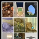 한림가락유치원 이미지