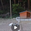 차칸가게 이미지