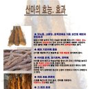 산약 (마가루) 팝니다 이미지