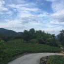 강산에민박 이미지