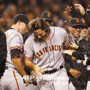 크로포드 이미지