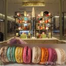 마카롱과의 달콤한 데이트 이미지