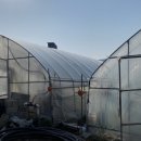 고읍농장 이미지