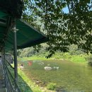 원동포시즌A 이미지