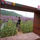 땅끝축산 이미지