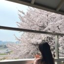 맘스터치 구로구일역점 이미지