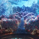 노형수퍼마켙 이미지