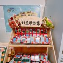 성산 애견농장 | 제주도기념품 성산필수코스 제주농부가 운영하는 제주선물가게본점 후기