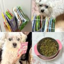 까까멍멍 | [리뷰] 강아지 신장화식 추천 ‘도거박스 저단저지 샘플팩’ | 노견 수제 사료 | 노령견 간식