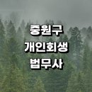 성남 중원구 근처 개인회생 추천 법무사사무소 잘하는곳 기간단축 상담 후기 금액 개인파산 개인회생자