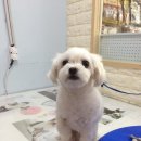 오송프렌즈샵