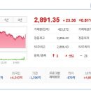 (주)라파스 이미지