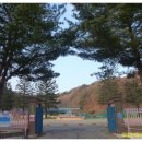 남산초교길 이미지