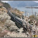 원동농장 이미지