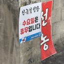 [울산 맛집] 삼산동 “선농 설렁탕” 내돈내산 후기