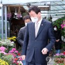 진영화훼