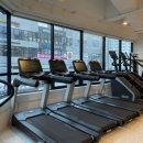 새로이 핏 이미지