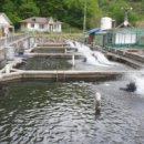 어라연송어횟집 이미지