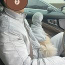 의성군군립도서관 | 경북 애견 캠핑장 | 경북 강아지운동장 | 애견동반여행지 추천( (ft. 의성펫월드 소형쉼터 이용후기)