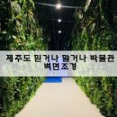 빅토르힐 리조트 | 제주도 믿거나 말거나 박물관 벽면조경 나무지기디자인