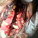 신현동물병원 이미지