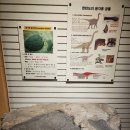 경북대학교자연사박물관 이미지