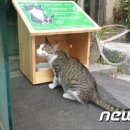 (주)펫톡 뉴스1