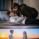 식스센스컴퍼니 스타뉴스