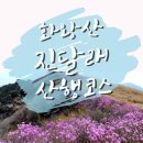 4월6일(목) 제444차 경남 창녕군 화왕산(756m)진달래 산행 (100대명산) 이미지