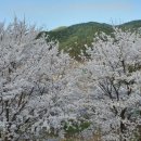 거창승강기고등학교 이미지