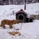 운두령산장 이미지