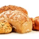 제빵자격증 이미지