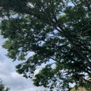 하루와이틀 이미지