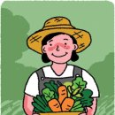 신세대 국제신문