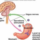 경희배한의원 이미지