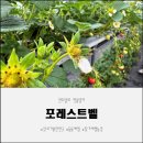양지어린이집 | 포레스트벨, 겨울에 찾은 가족형 실내가볼만한곳 후기