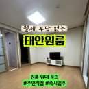 군청8길 네이버블로그