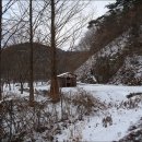 금성어린이집 이미지